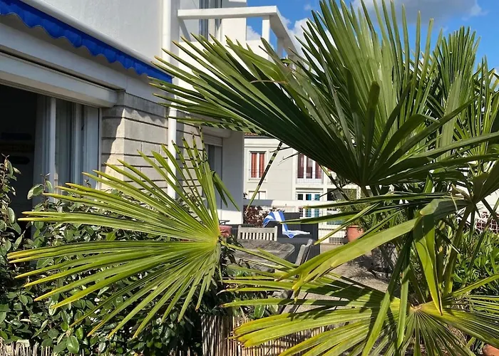 Terrasse Daire